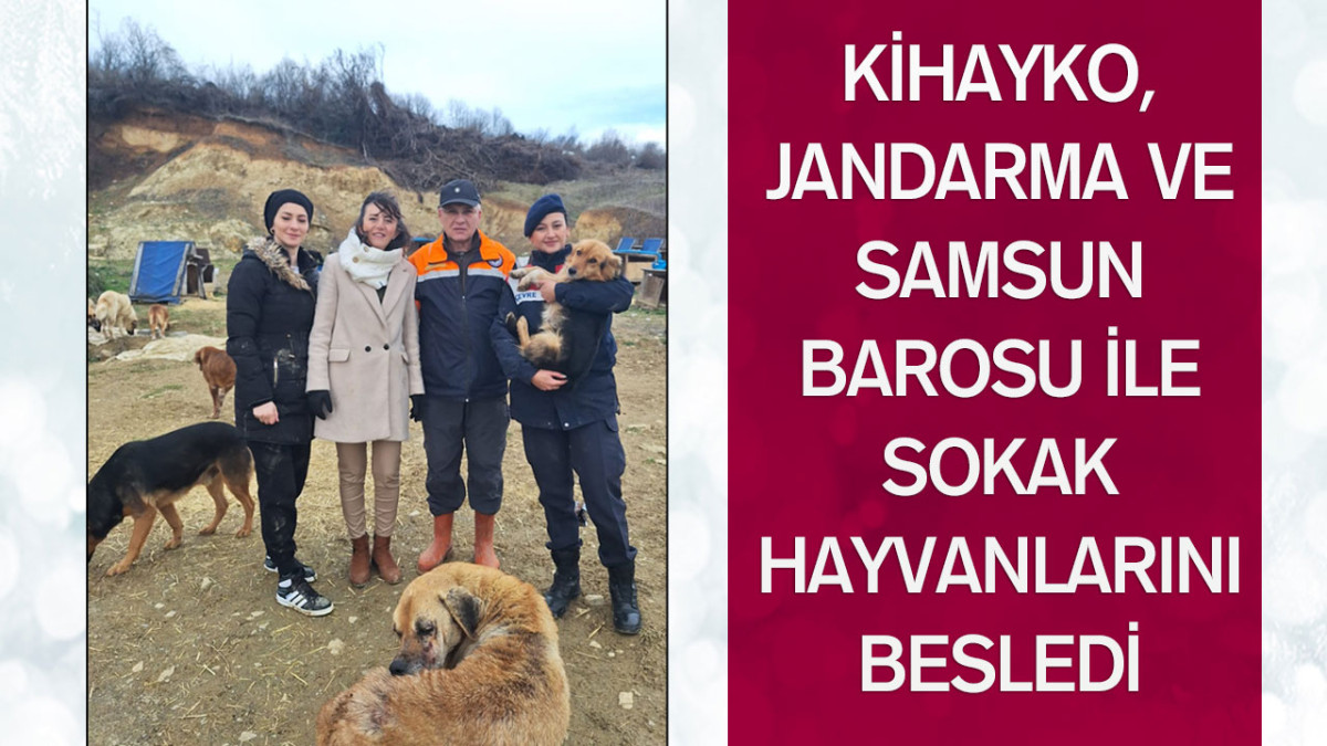 KİHAYKO, Jandarma Ve Samsun Barosu İle Sokak Hayvanlarını Besledi