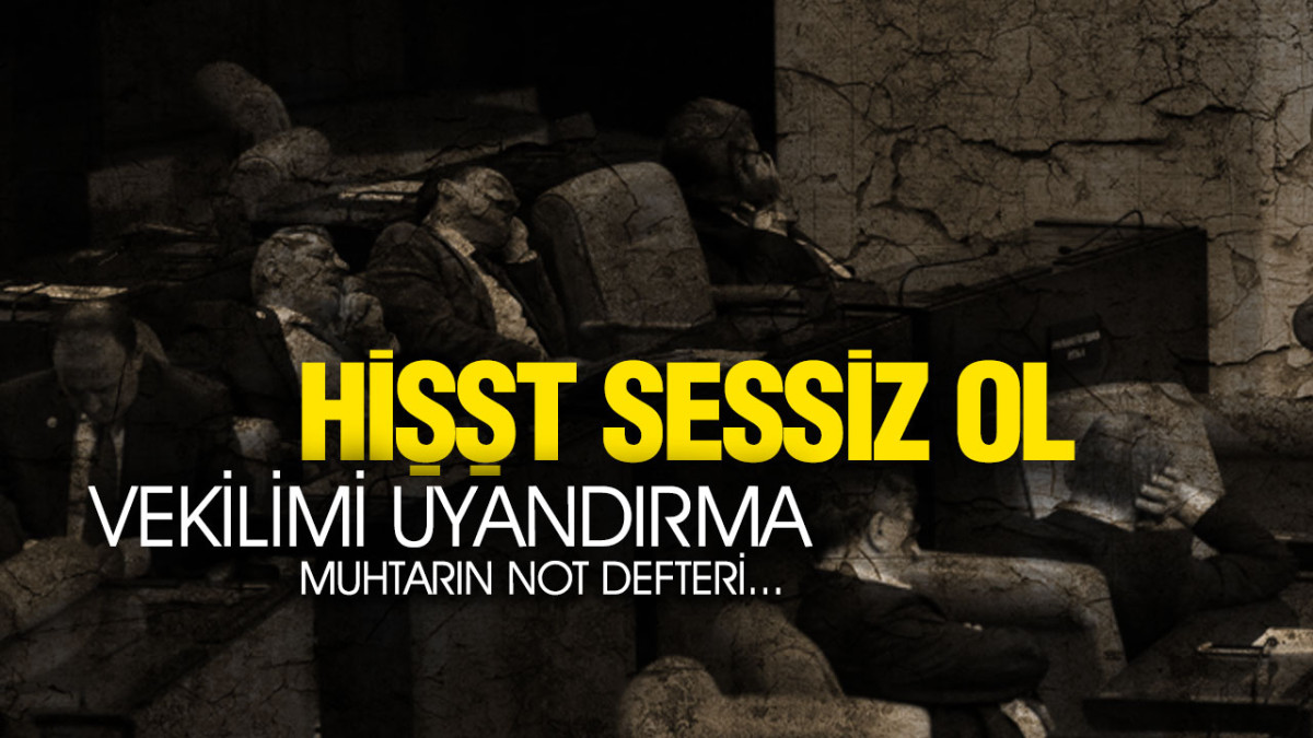 Hişşt Sessiz Ol, Vekilimi Uyandırma