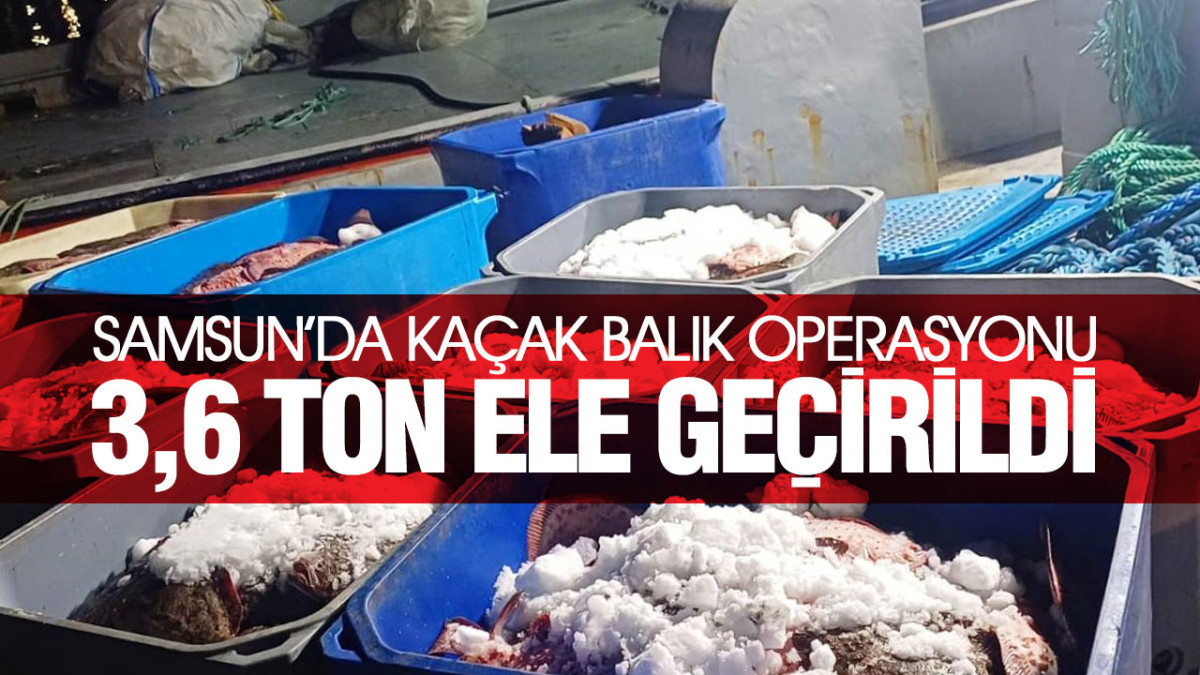 Samsun, Yakakent’te Kaçak Kalkan Balığı Operasyonu