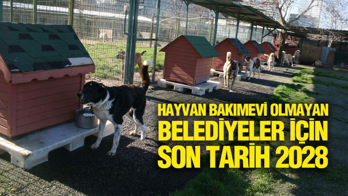 Samsun’da Hayvan Bakımevi Olmayan Belediyeler İçin Son Tarih 2028