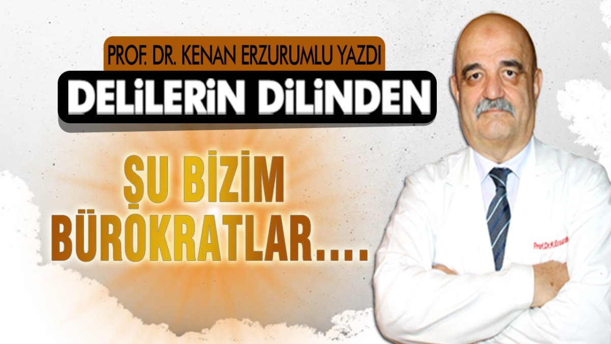 Şu Bizim Bürokratlar….